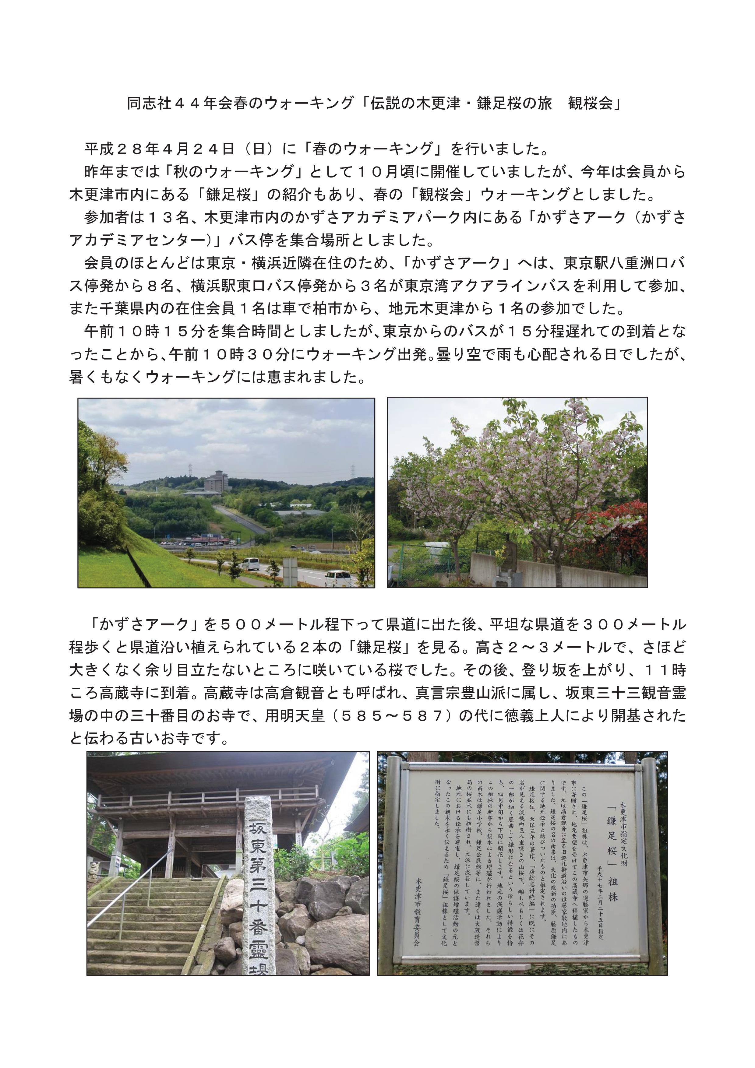 同志社４４会鎌足桜観桜会(2016.4.24) 原稿-001.jpg