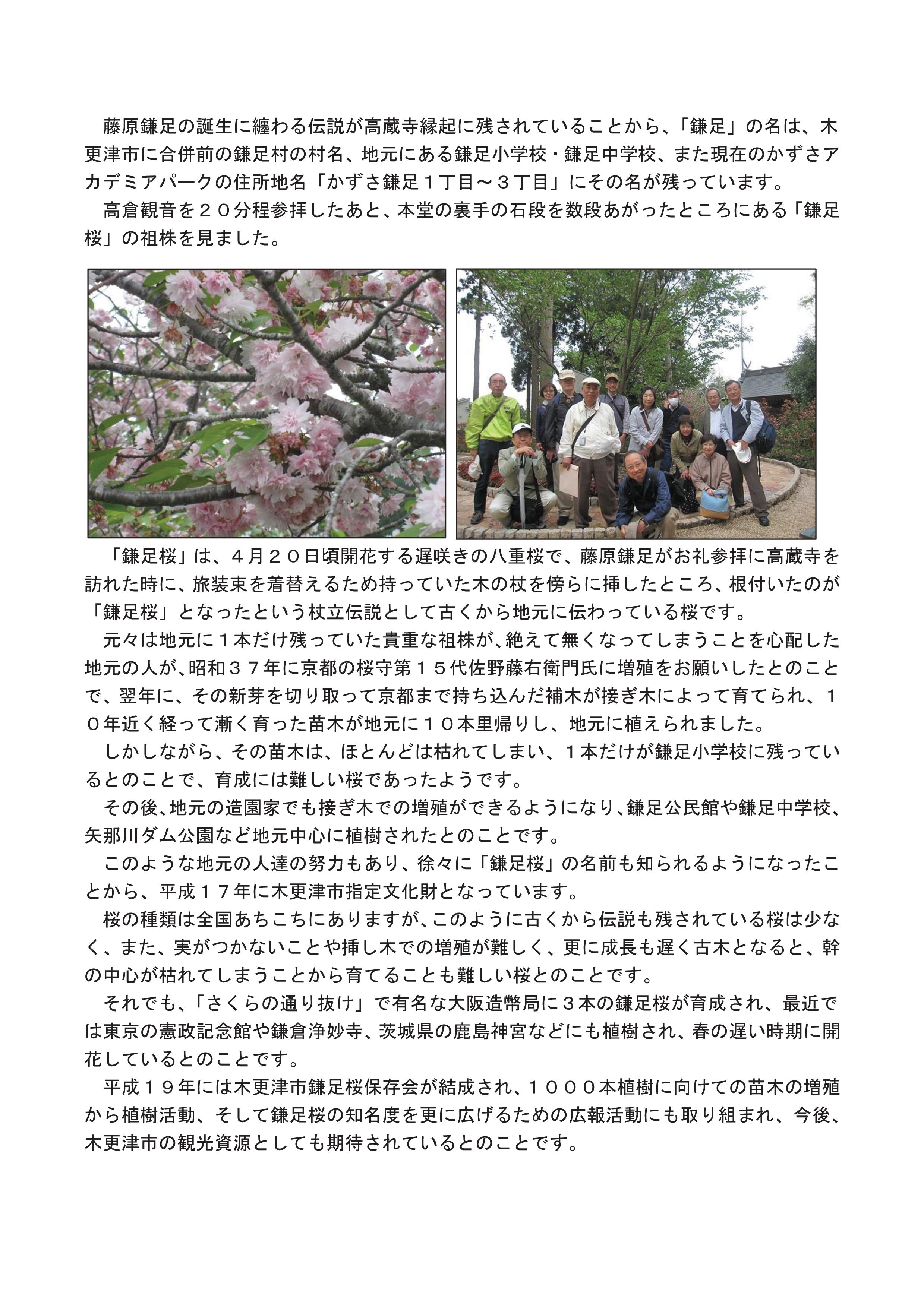 同志社４４会鎌足桜観桜会(2016.4.24) 原稿-002.jpg