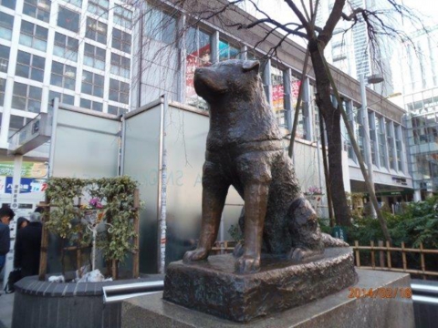 140218_arukoukai_001.jpg