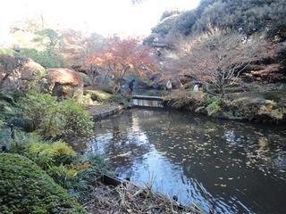 111212_arukoukai_105_002-r-thumbnail2.jpg